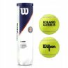Теннисные мячи Wilson Roland Garros All Court в банке